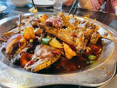 -戴师傅川西坝子(彩泉旗舰店)