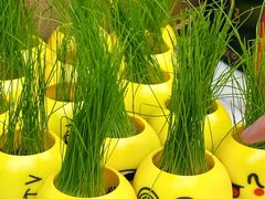 -赣江里•江西菜(望京旺角店)