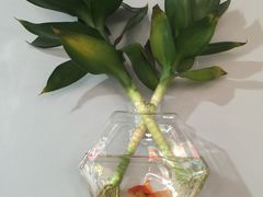 -满诗爷黄辣丁(金岛花园店)