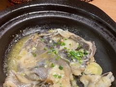 -邹开喜·炭炉鸡煲·海鲜火锅(虹口足球场店)