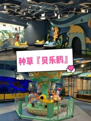 -贝乐鸥主题乐园(锦城万达广场店)