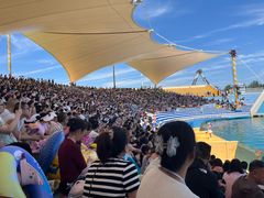 -秦皇岛乐岛海洋王国