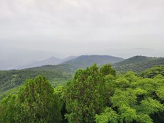 -北京鹫峰国家森林公园