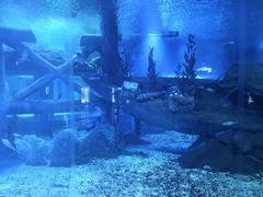 -临沂极地海洋王国