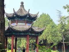 -洛阳白马寺