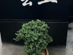 -雲上錢屋·地标景观(上海中心店)