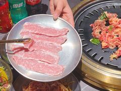 -杨小佳·齐齐哈尔烤肉·烤串(广州店)