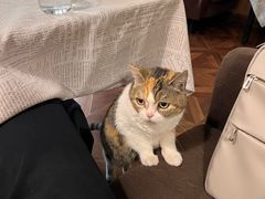 -隅cafe(傅厚岗店)