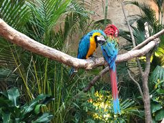 -杭州开元森泊度假乐园