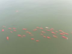 -迎泽公园
