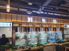 -老船舫·现做活鲜鱼馆(东郊记忆店)