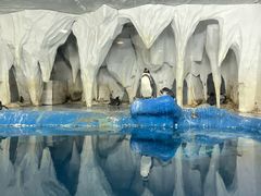 -太平洋海底世界