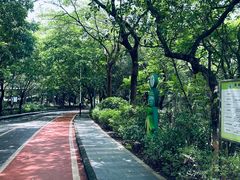 -水濂山森林公园