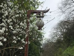-重庆彩云湖湿地公园