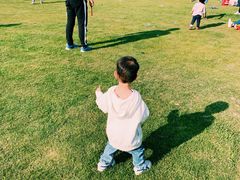 -前小桔亲子创意农场·草莓采摘·露营烧烤