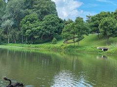 -福建鲤鱼洲酒店