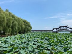-锦溪古镇