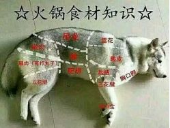 -名品美发