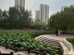 -南翠屏公园