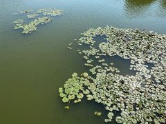 -东山湖公园