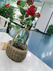-痘院长·专业祛痘·皮肤管理