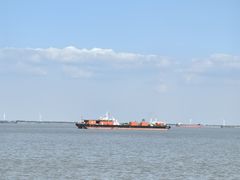 -上海滨江森林公园