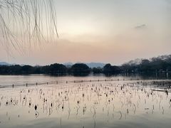 -西湖游船