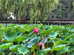 -四川大学(望江校区)
