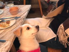 -the rug 飞毯 (朝阳公园店)
