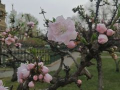 -玲珑塔公园