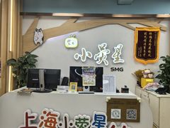 -小荧星艺校(大宁分校)