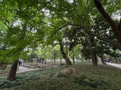 -西园戒幢律寺