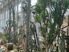 -郑州植物园