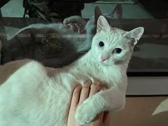 -BomBa意大利餐厅