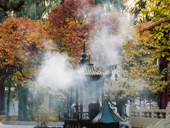 -哈尔滨极乐寺