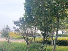 -东疆建设开发纪念公园