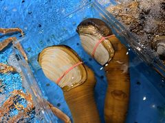 -徐记海鲜·家宴(南油永新汇店)