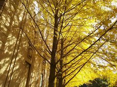 -辽宁大学(崇山校区)