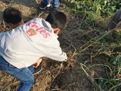 -乡乐园蟹庄·阳澄湖农家乐