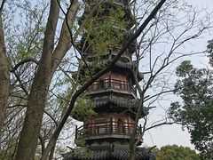 -上海佘山国家森林公园西佘山园