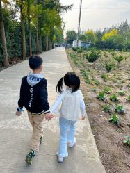 点击看大图 -前小桔亲子创意农场·草莓采摘·露营烧烤