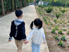 -前小桔亲子创意农场·草莓采摘·露营烧烤