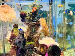 -太平洋海底世界