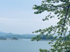 -花亭湖风景名胜区