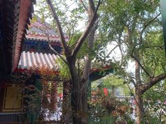 -天津妈祖文化园