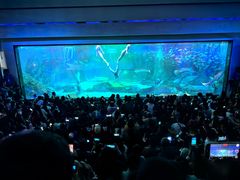 -海合安成都极地海洋公园