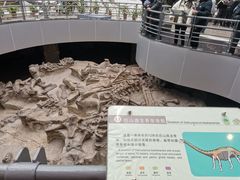 -自贡恐龙博物馆