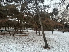 -北陵公园