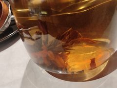 -芸山季·云南山珍菌火锅(人民广场来福士店)