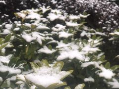 -息烽温泉